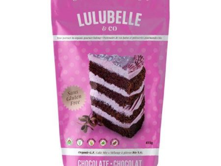 Organic Chocolate Cake Mix Online Sale