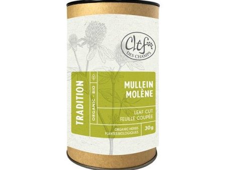 Mullein Organic Herbal Tea | TRADITION For Sale