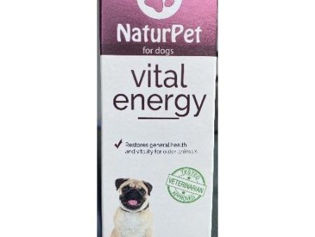 Vital Energy Cheap