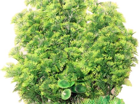 Poppy Pet - Extra Wide Bushy Foxtail Aquarium Plant on Sale