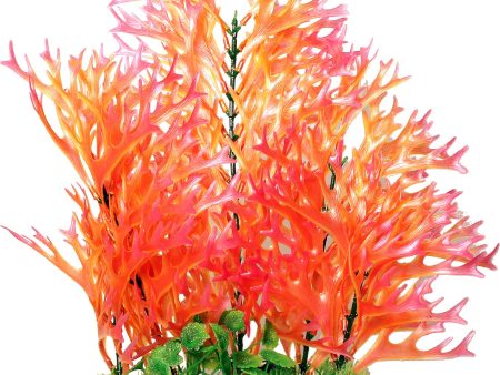 Poppy Pet - Sea Fern Aquarium Plant Online now