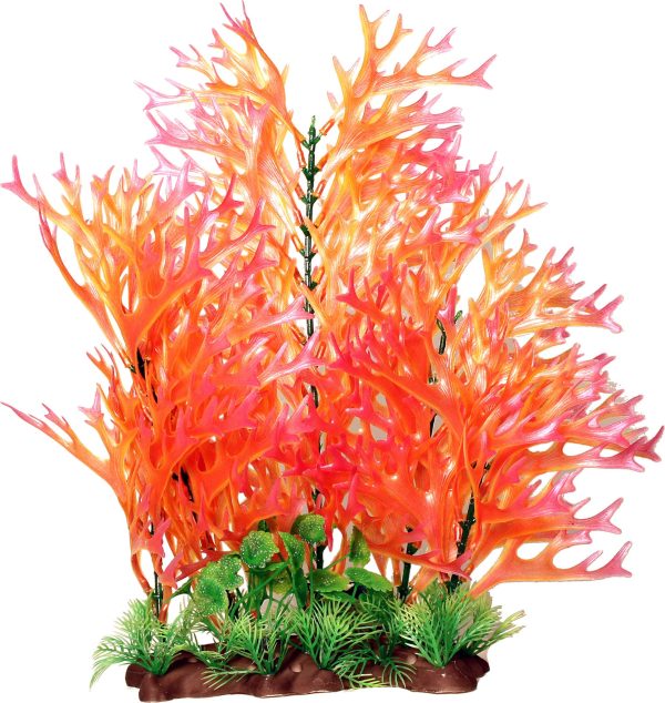 Poppy Pet - Sea Fern Aquarium Plant Online now