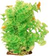 Poppy Pet - Bushy Ambulia Aquarium Plant Cheap