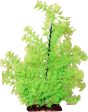 Poppy Pet - Bushy Ambuila Aquarium Plant Cheap