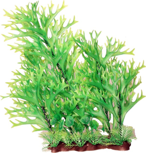 Poppy Pet - Sea Fern Aquarium Plant Online now