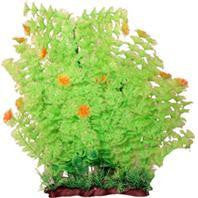 Poppy Pet - Extra Wide Bushy Ambulia Aquarium Plant Supply