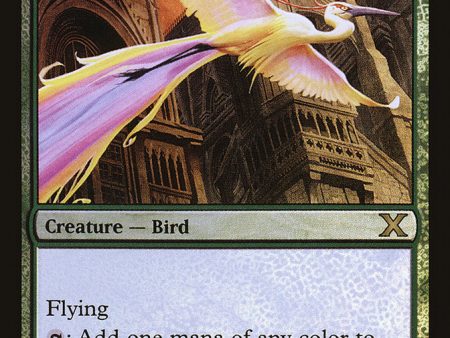 Birds of Paradise (Premium Foil) [Tenth Edition] Supply