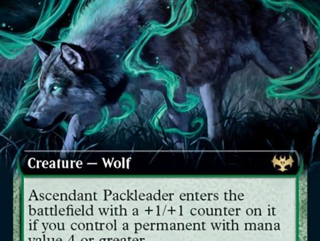 Ascendant Packleader (Extended Art) [Innistrad: Crimson Vow] Fashion