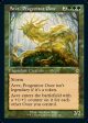 Aeve, Progenitor Ooze (Retro Foil Etched) [Modern Horizons 2] Online